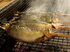 信州の川魚